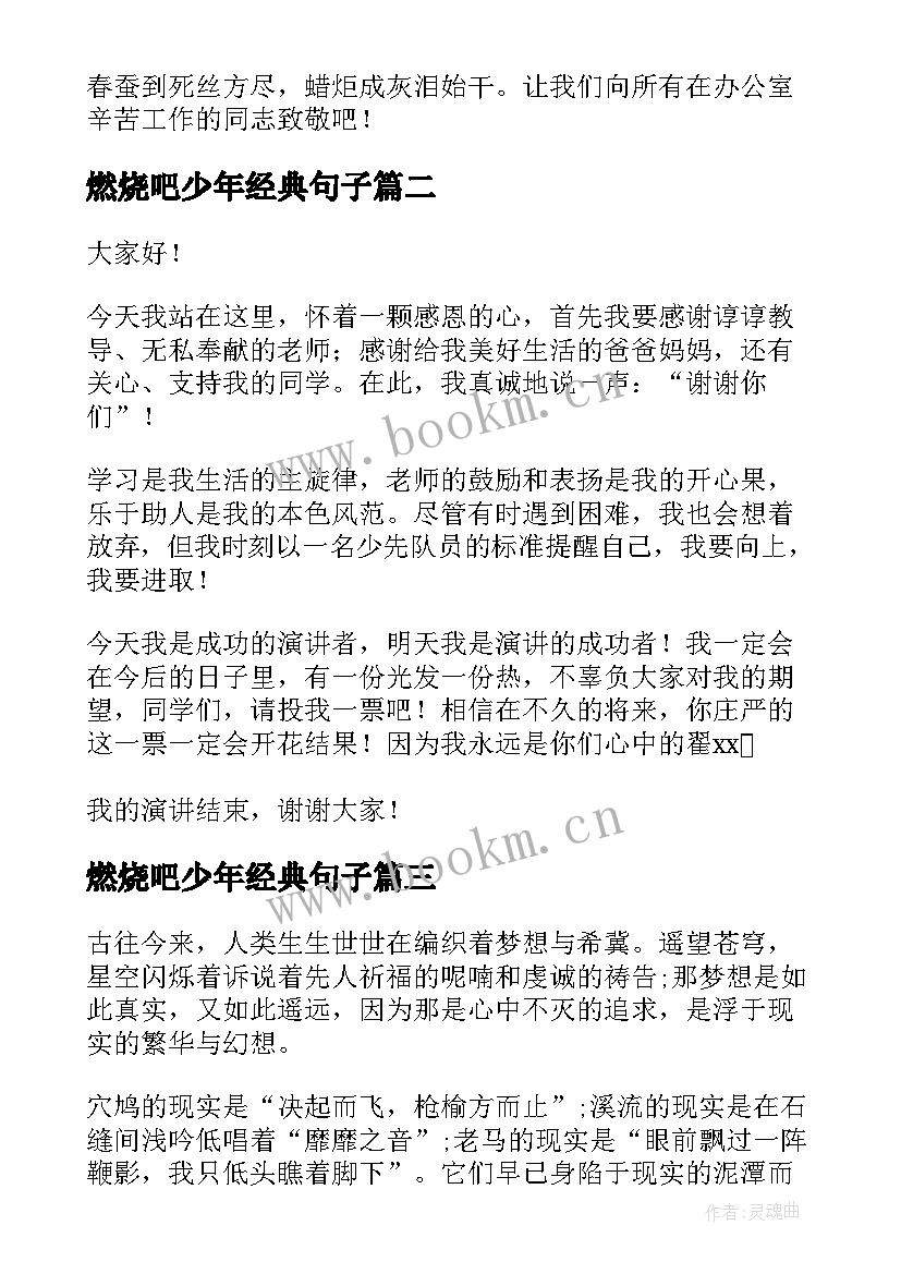 2023年燃烧吧少年经典句子 燃烧青春演讲稿(模板8篇)