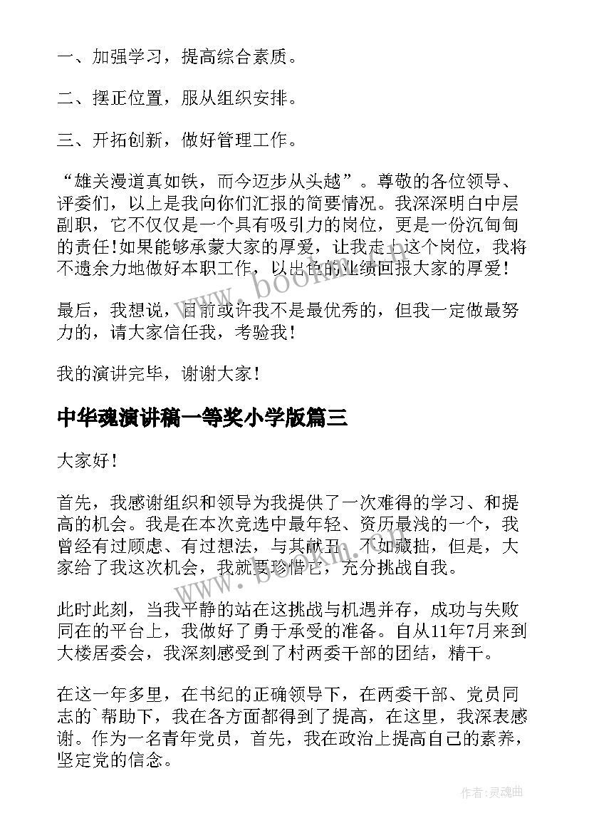 最新中华魂演讲稿一等奖小学版(大全6篇)