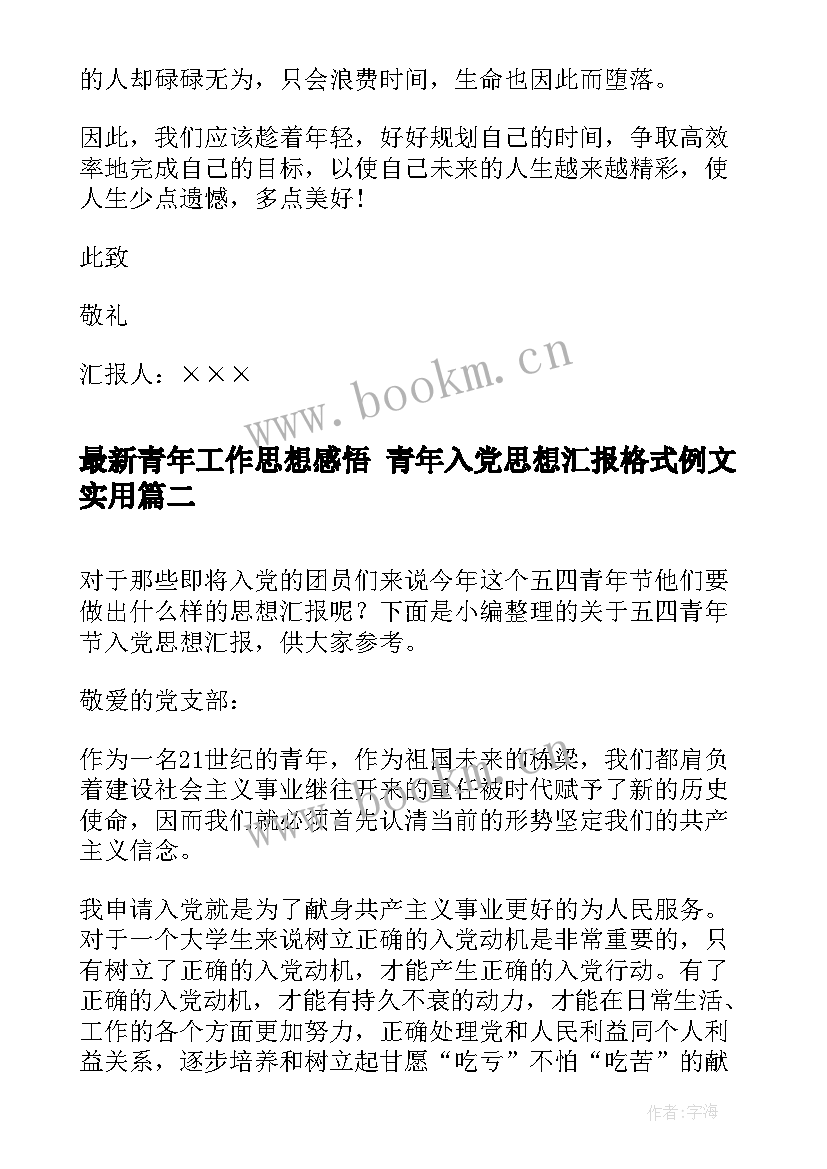 2023年青年工作思想感悟 青年入党思想汇报格式例文(模板9篇)