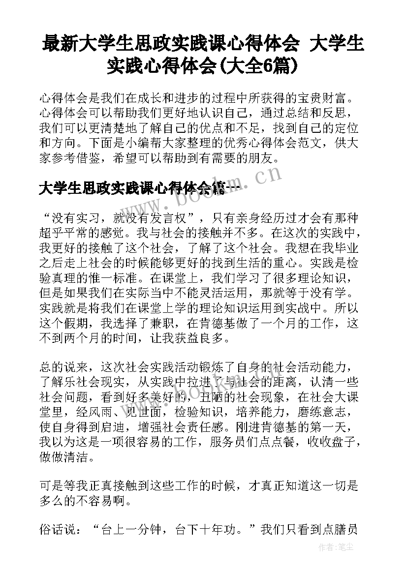 最新大学生思政实践课心得体会 大学生实践心得体会(大全6篇)