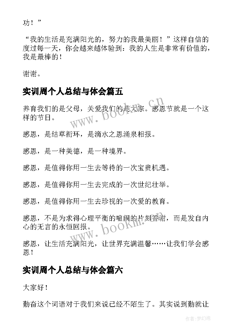 2023年实训周个人总结与体会(模板9篇)