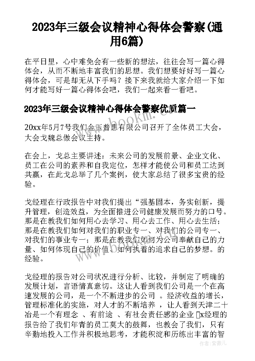 2023年三级会议精神心得体会警察(通用6篇)