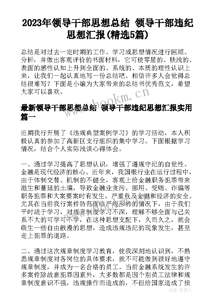 2023年领导干部思想总结 领导干部违纪思想汇报(精选5篇)