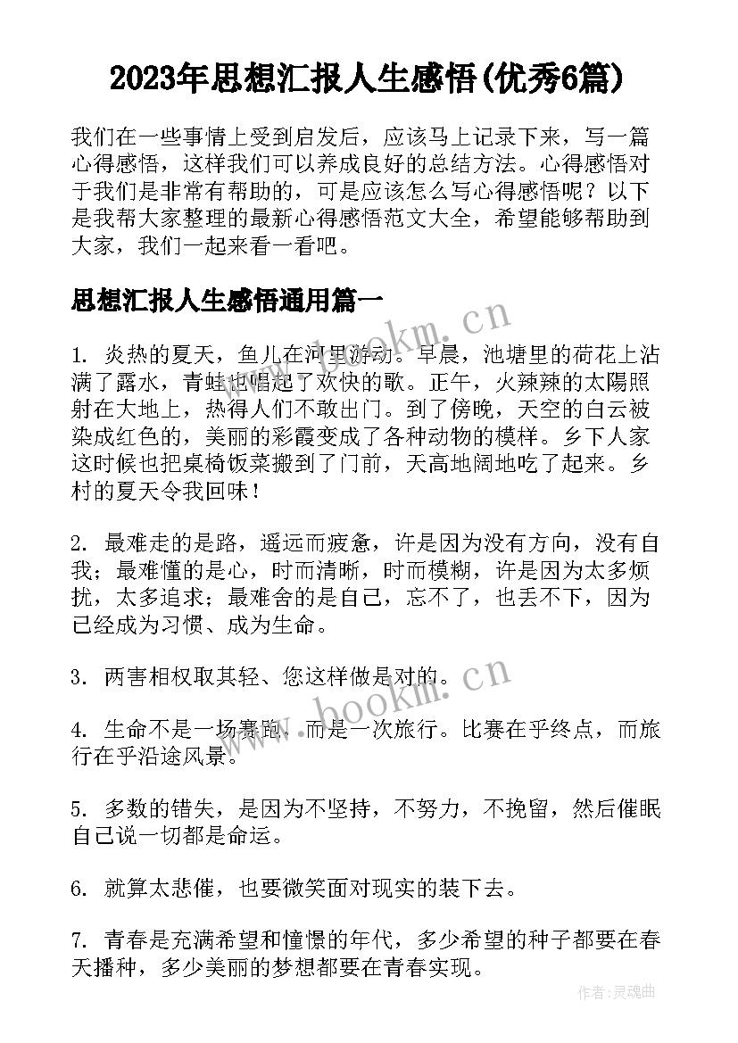 2023年思想汇报人生感悟(优秀6篇)