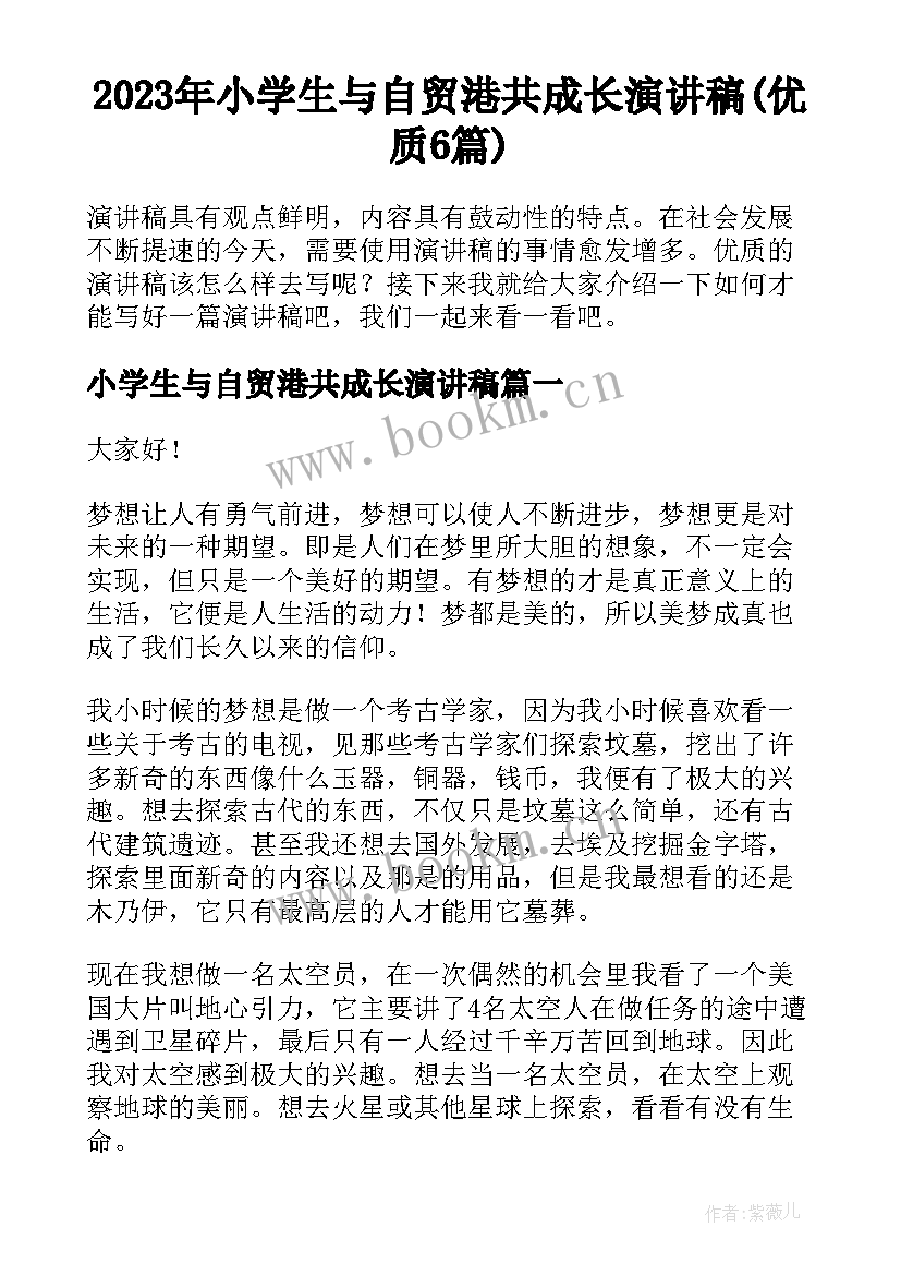 2023年小学生与自贸港共成长演讲稿(优质6篇)