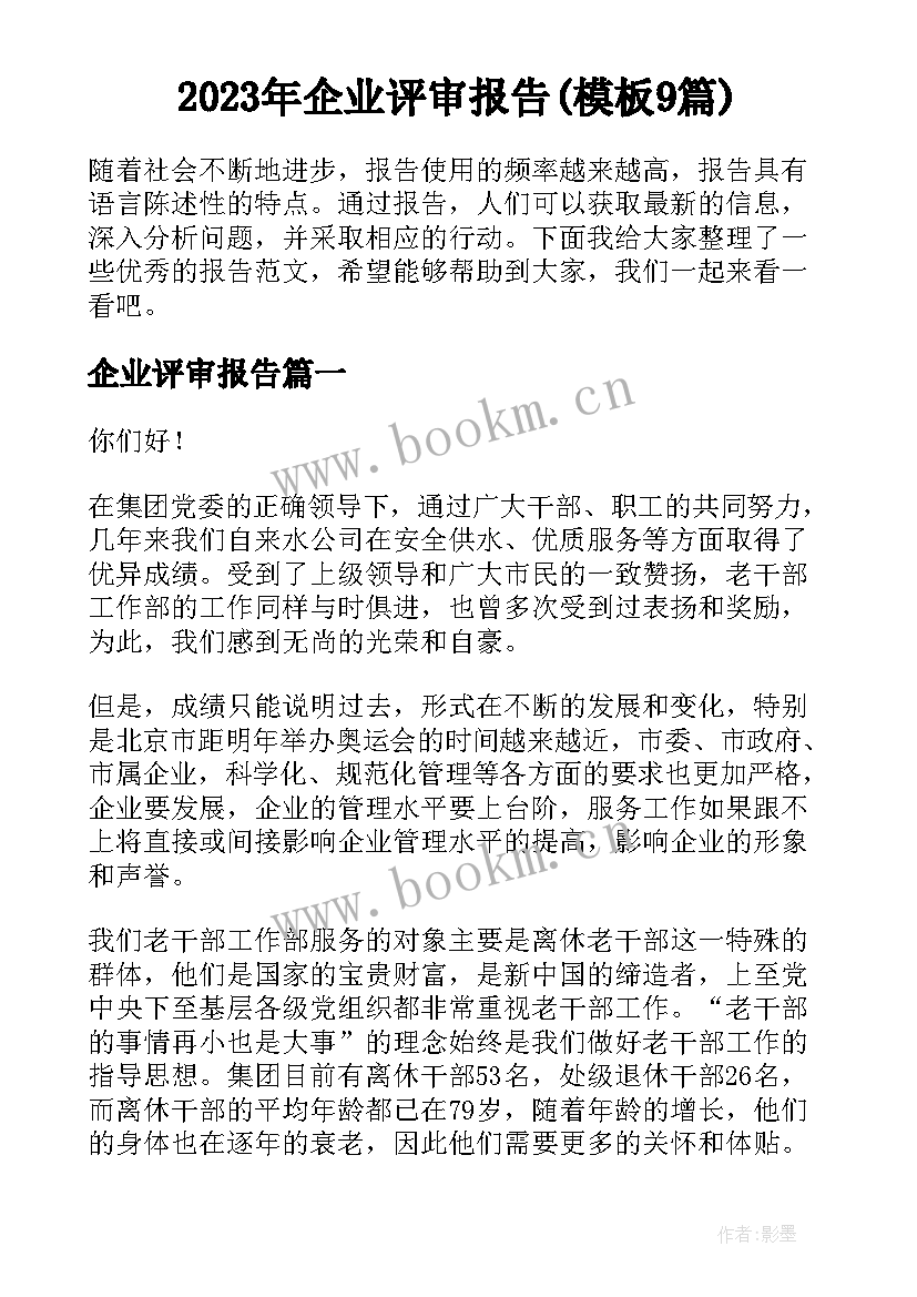 2023年企业评审报告(模板9篇)