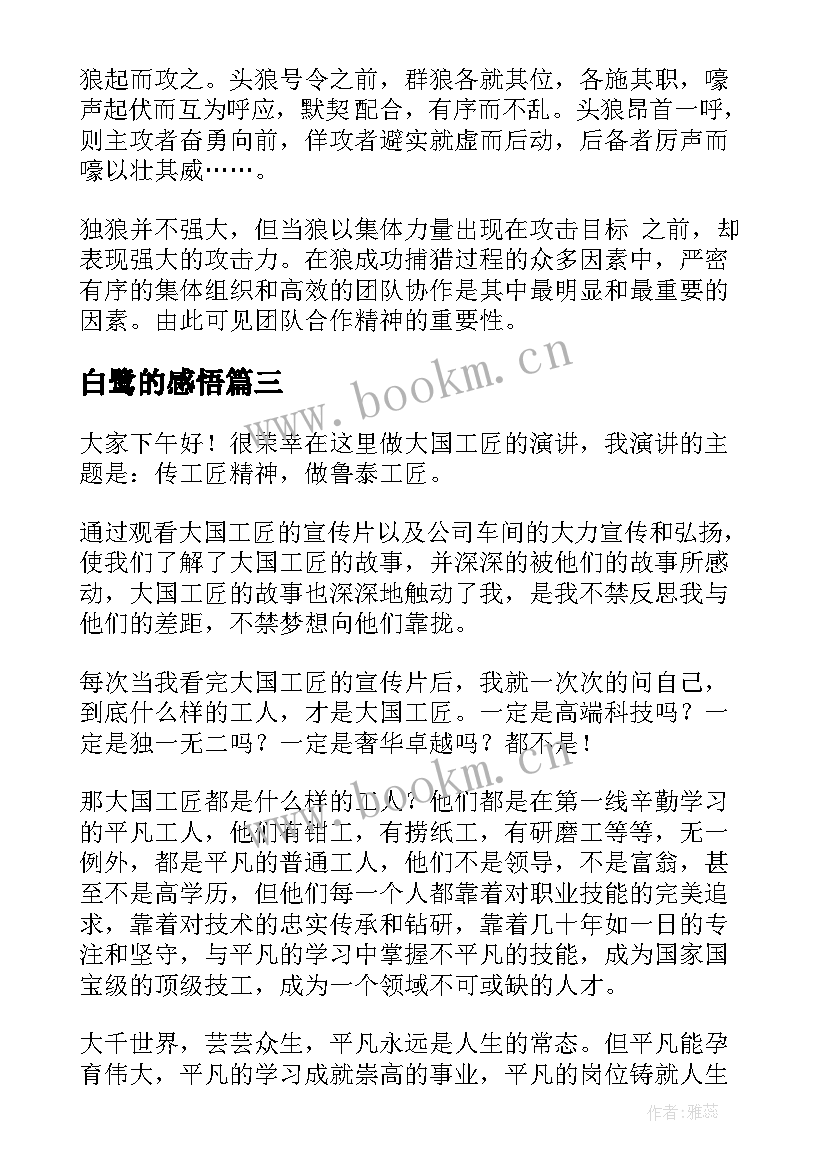 白鹭的感悟 工匠精神演讲稿(精选6篇)