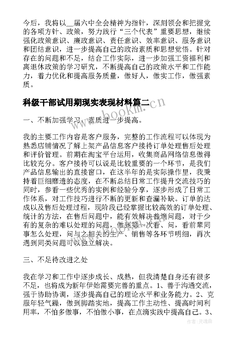 最新科级干部试用期现实表现材料 副科级试用期工作总结(优质5篇)