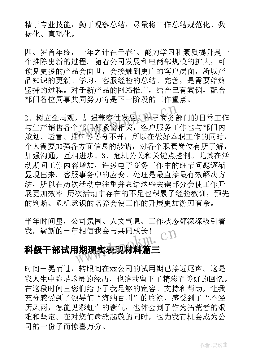 最新科级干部试用期现实表现材料 副科级试用期工作总结(优质5篇)