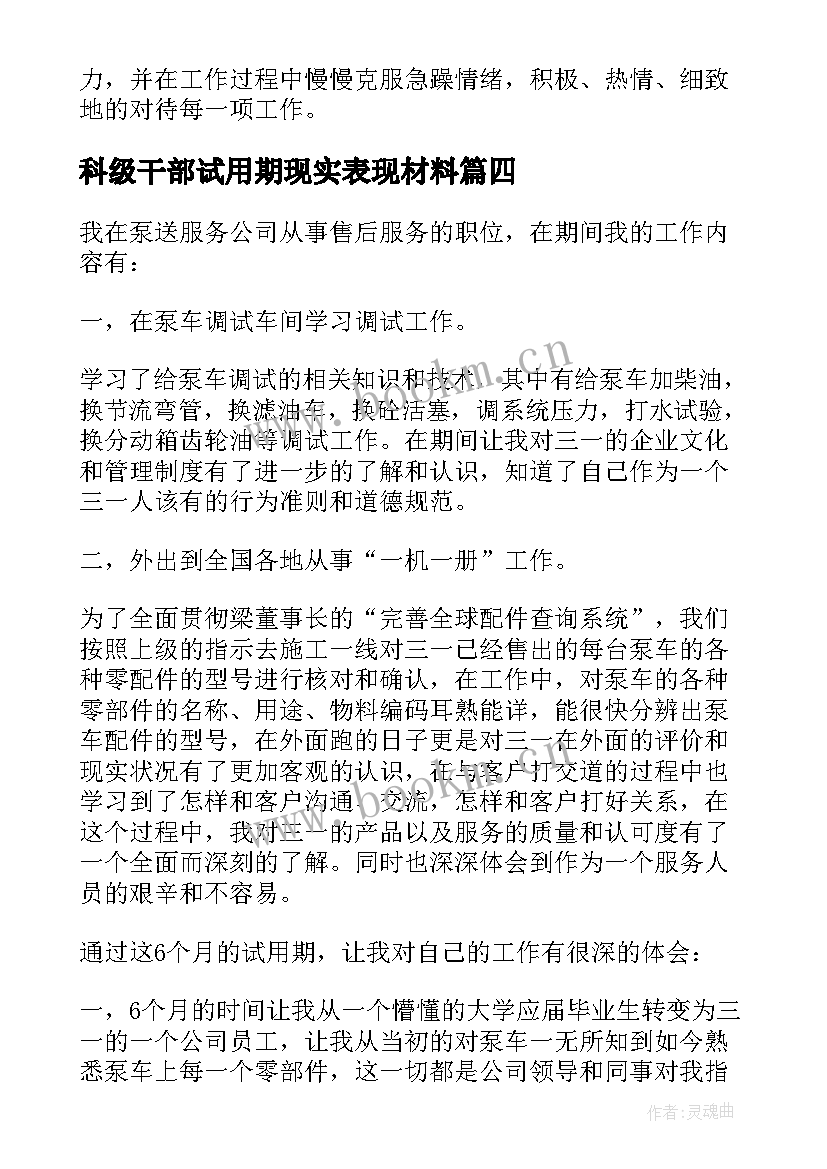 最新科级干部试用期现实表现材料 副科级试用期工作总结(优质5篇)