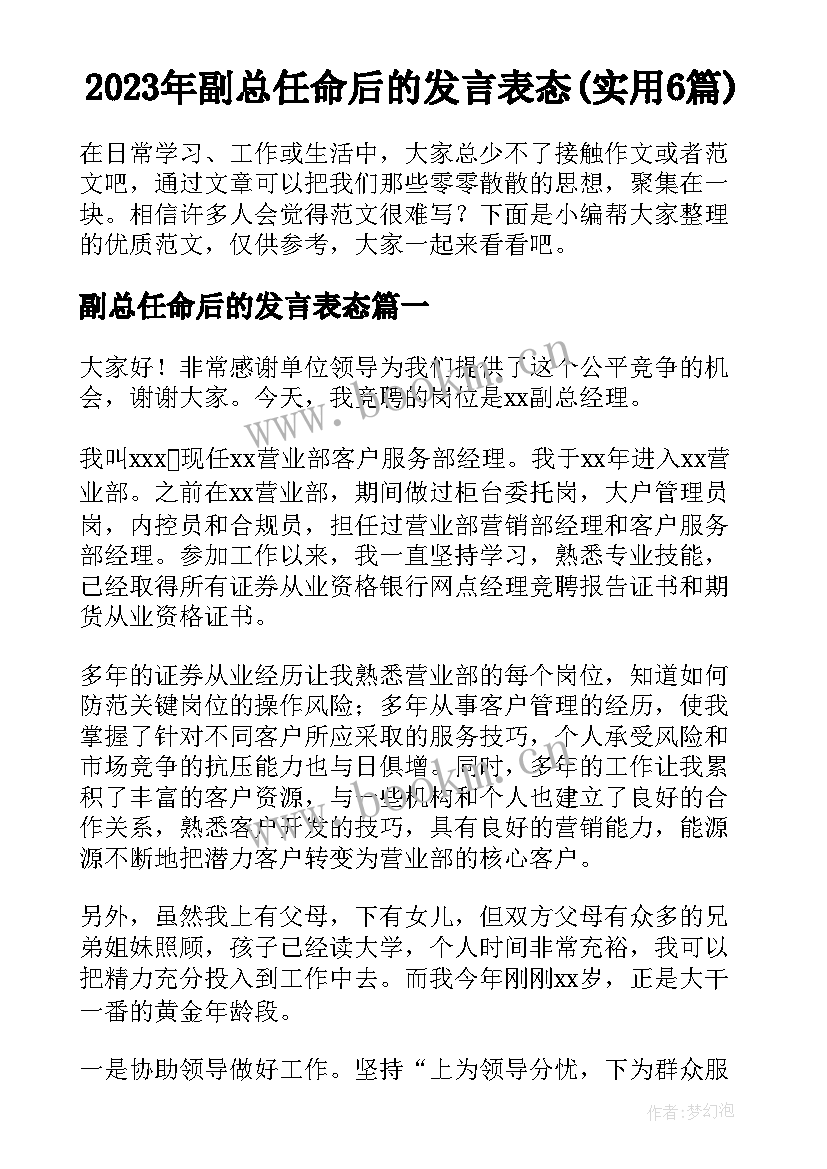 2023年副总任命后的发言表态(实用6篇)