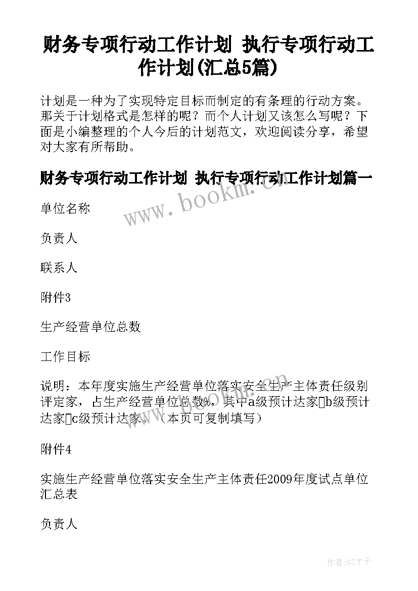 财务专项行动工作计划 执行专项行动工作计划(汇总5篇)