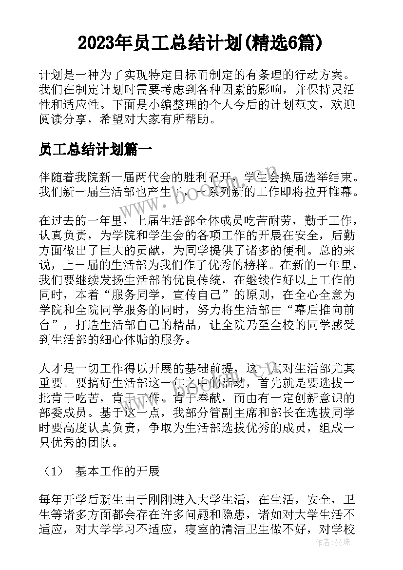 2023年员工总结计划(精选6篇)