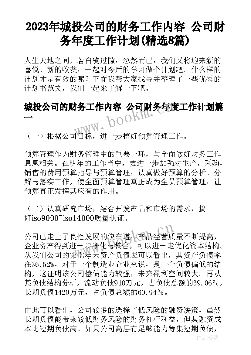 2023年城投公司的财务工作内容 公司财务年度工作计划(精选8篇)