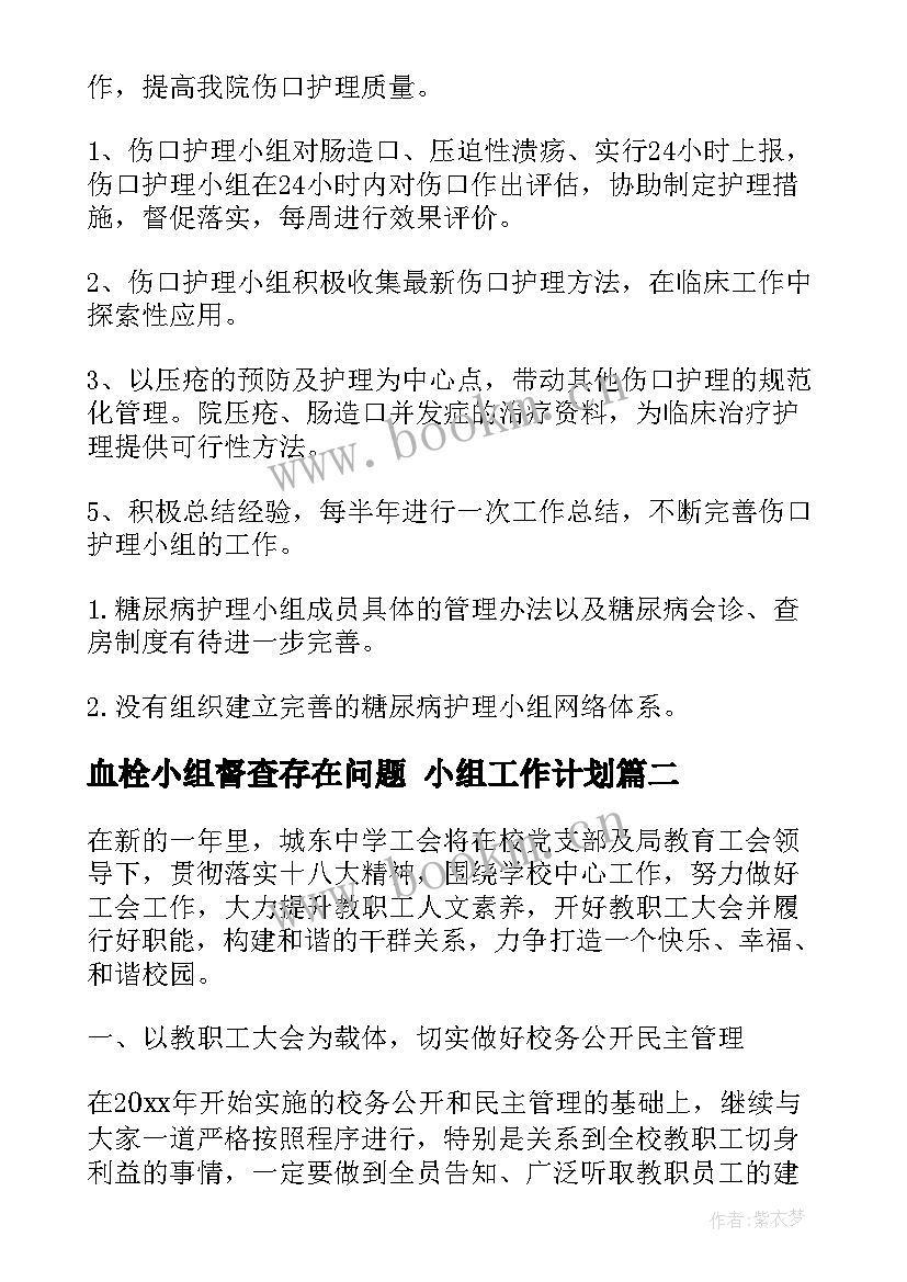 最新血栓小组督查存在问题 小组工作计划(精选7篇)