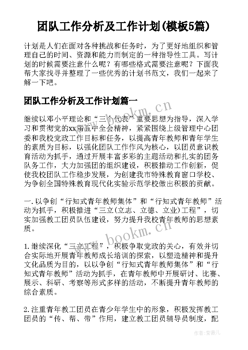 团队工作分析及工作计划(模板5篇)