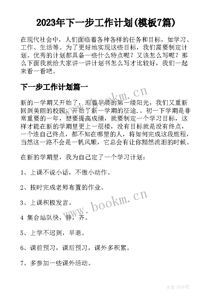 2023年下一步工作计划(模板7篇)