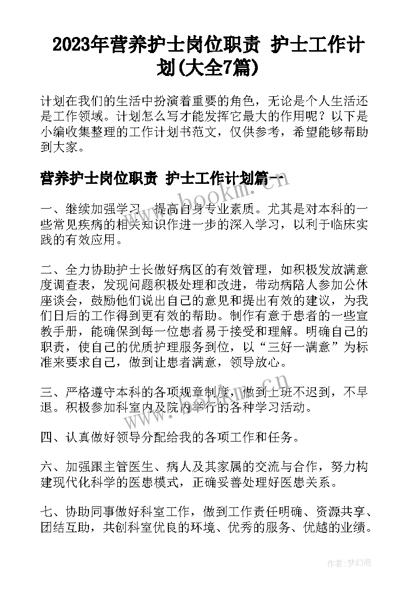 2023年营养护士岗位职责 护士工作计划(大全7篇)