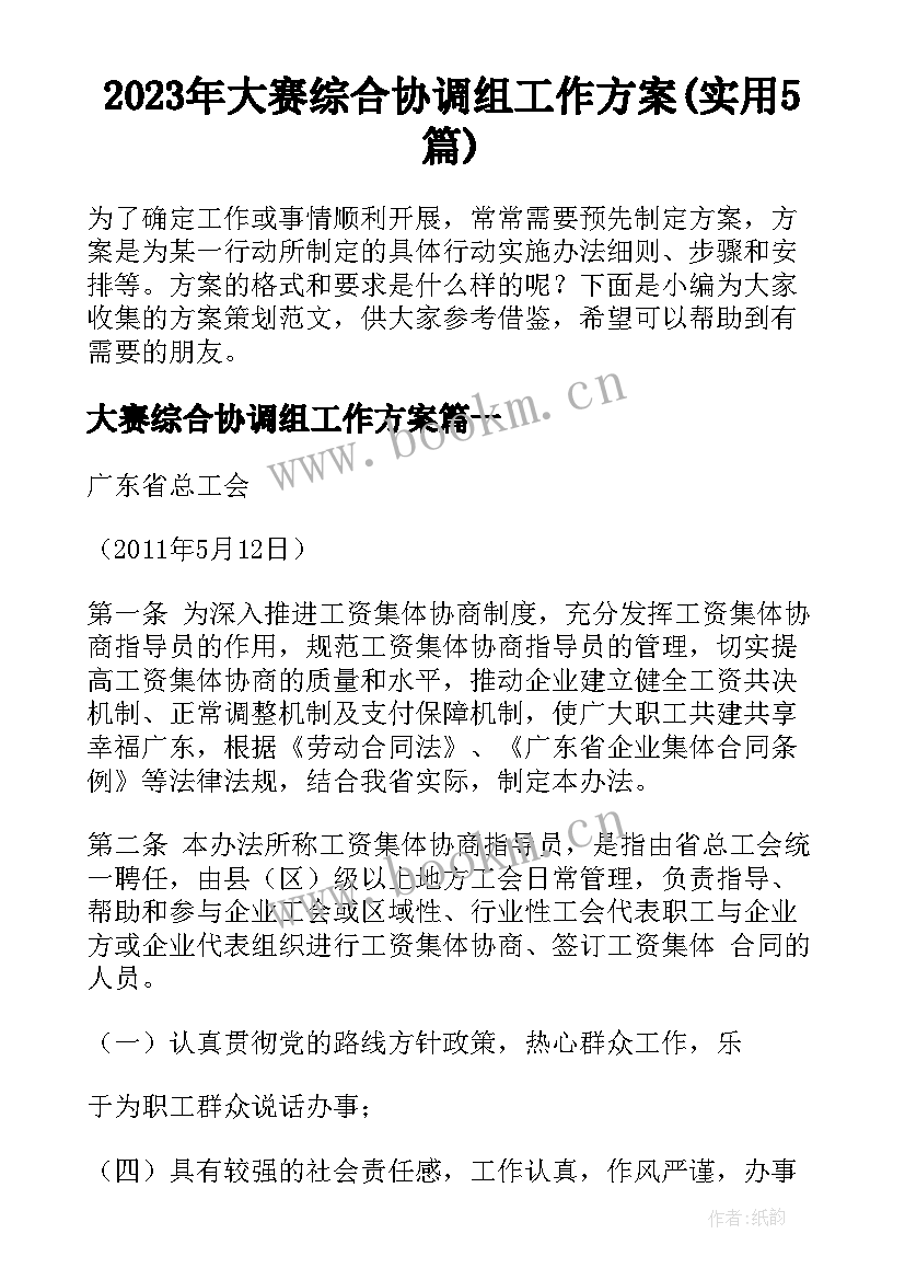 2023年大赛综合协调组工作方案(实用5篇)