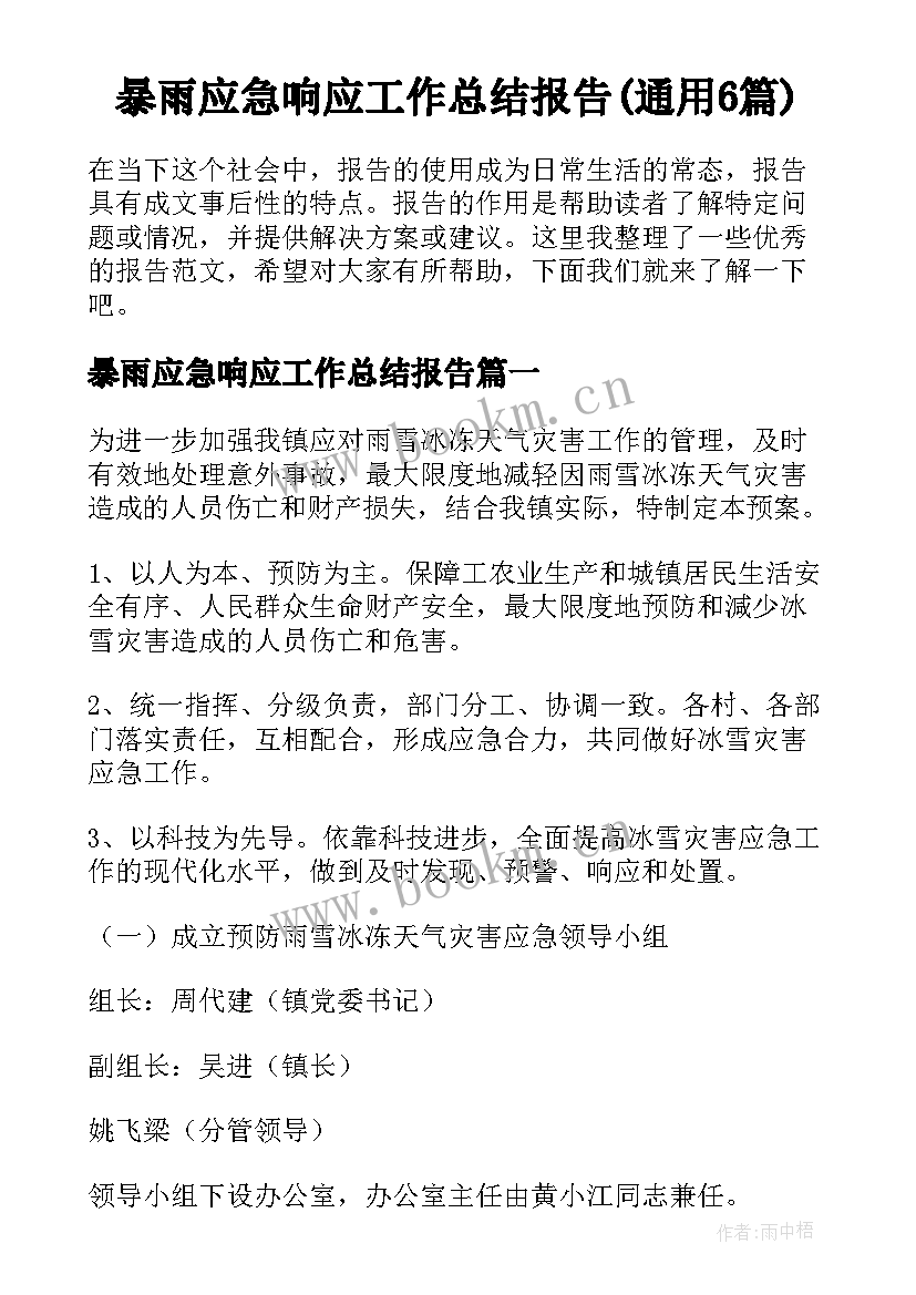 暴雨应急响应工作总结报告(通用6篇)