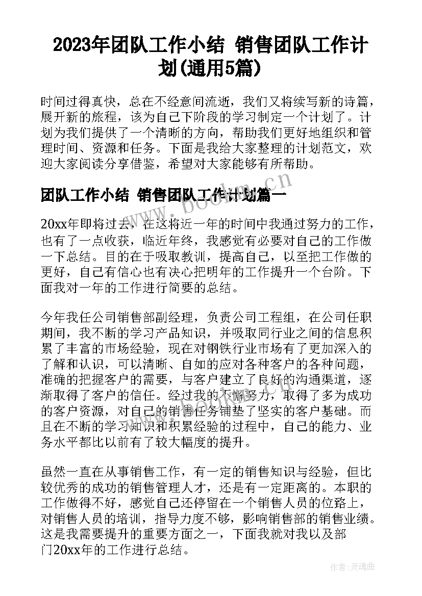 2023年团队工作小结 销售团队工作计划(通用5篇)