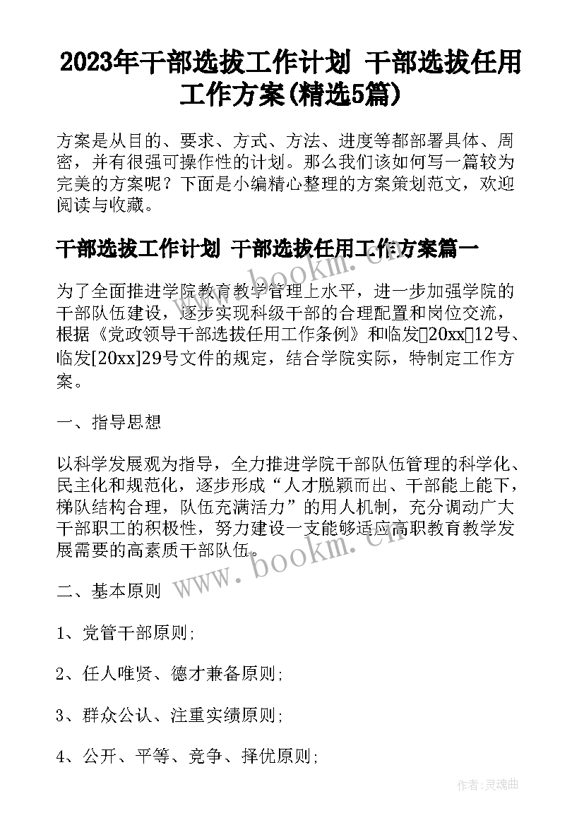 2023年干部选拔工作计划 干部选拔任用工作方案(精选5篇)