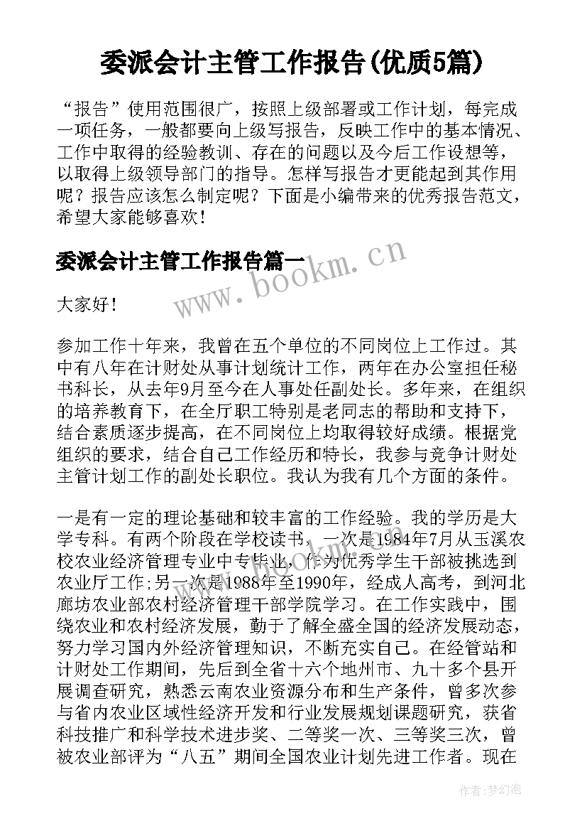 委派会计主管工作报告(优质5篇)