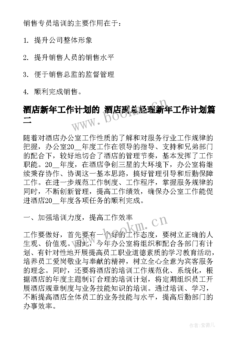 2023年酒店新年工作计划的 酒店副总经理新年工作计划(模板5篇)