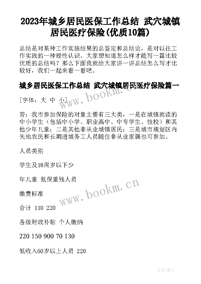 2023年城乡居民医保工作总结 武穴城镇居民医疗保险(优质10篇)