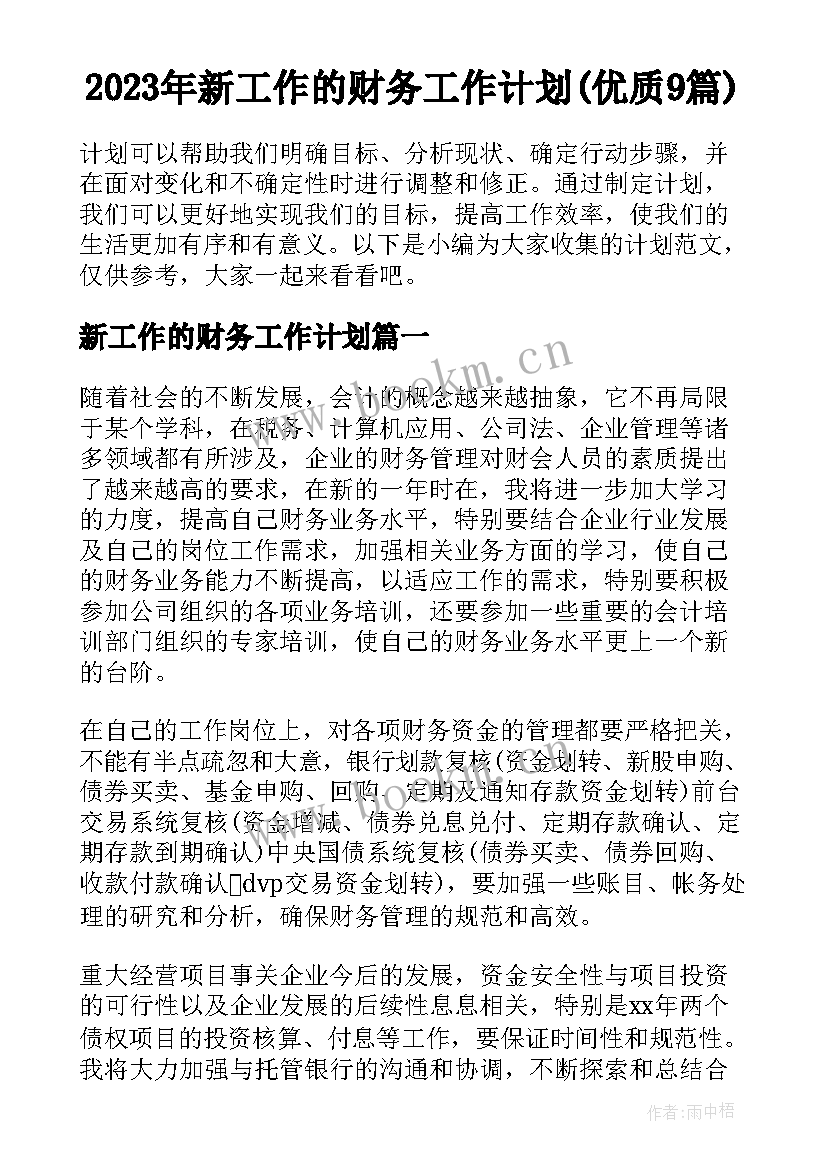 2023年新工作的财务工作计划(优质9篇)