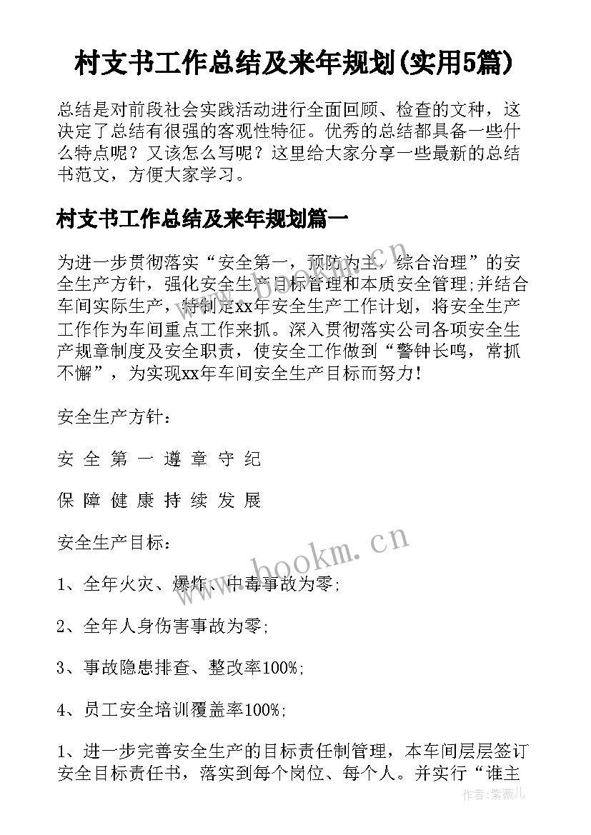 村支书工作总结及来年规划(实用5篇)