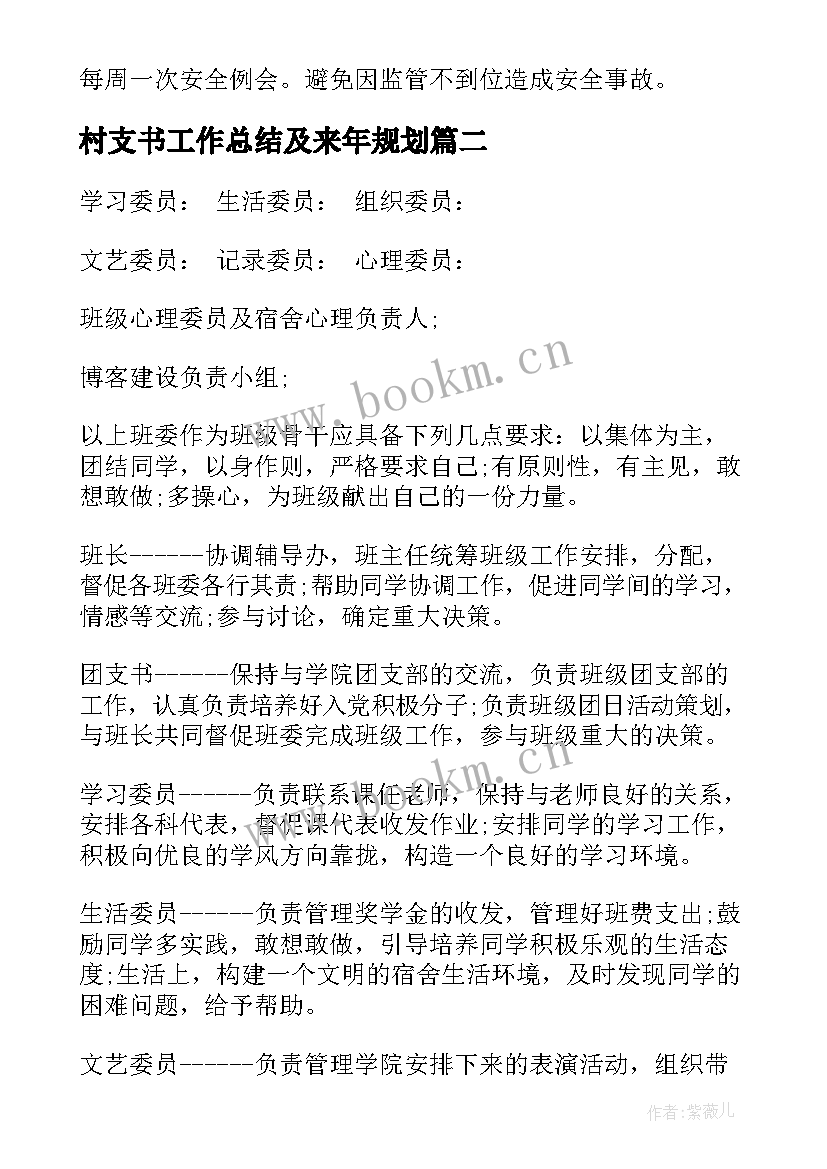 村支书工作总结及来年规划(实用5篇)