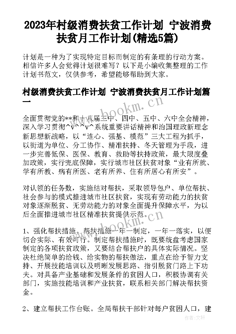 2023年村级消费扶贫工作计划 宁波消费扶贫月工作计划(精选5篇)