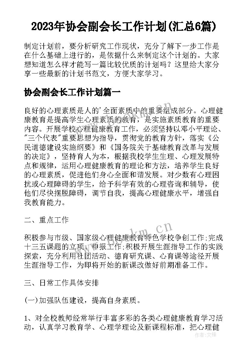 2023年协会副会长工作计划(汇总6篇)