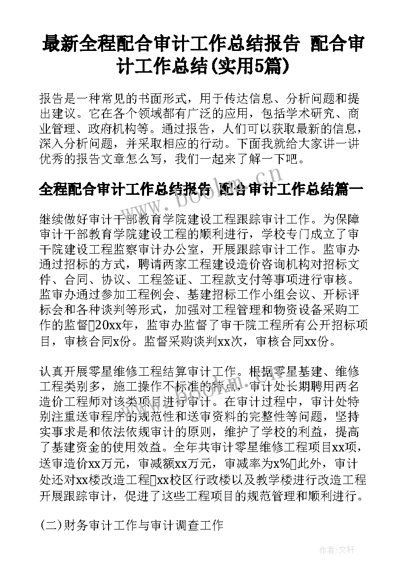 最新全程配合审计工作总结报告 配合审计工作总结(实用5篇)