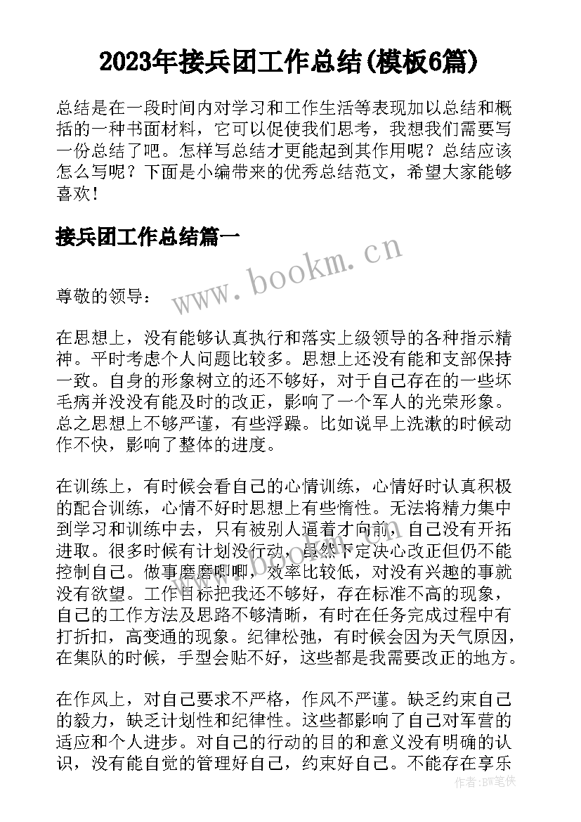 2023年接兵团工作总结(模板6篇)