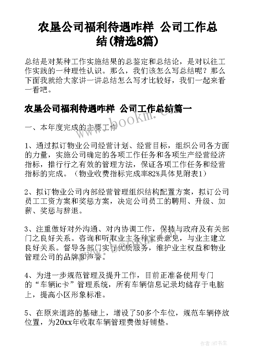 农垦公司福利待遇咋样 公司工作总结(精选8篇)