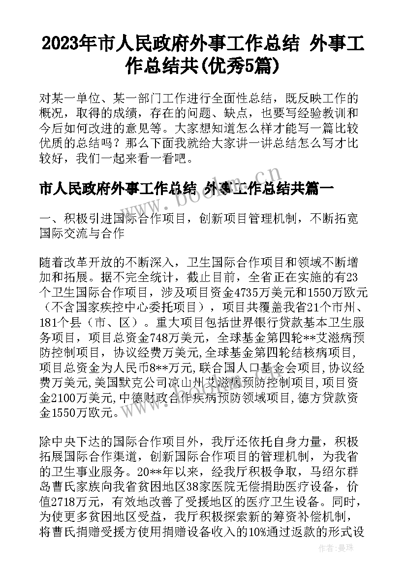 2023年市人民政府外事工作总结 外事工作总结共(优秀5篇)