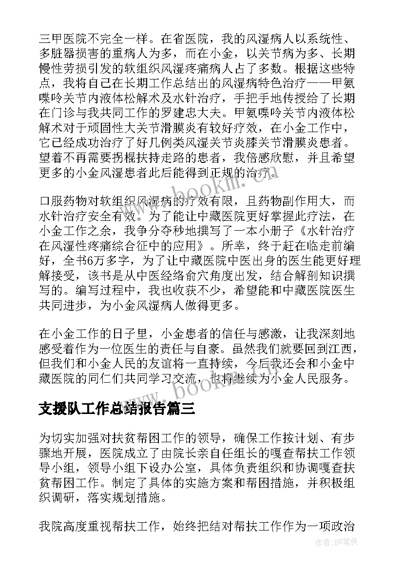 支援队工作总结报告(汇总6篇)