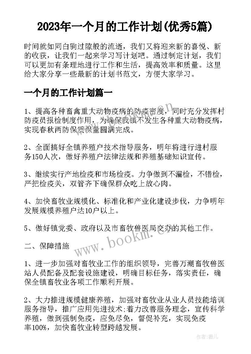 2023年一个月的工作计划(优秀5篇)