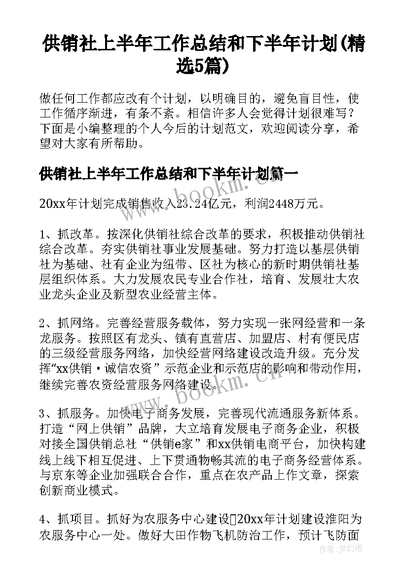 供销社上半年工作总结和下半年计划(精选5篇)