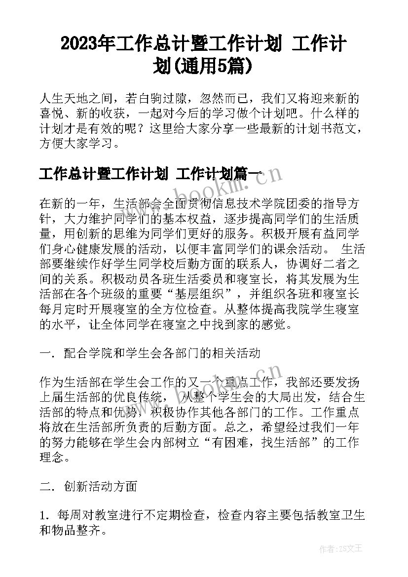 2023年工作总计暨工作计划 工作计划(通用5篇)