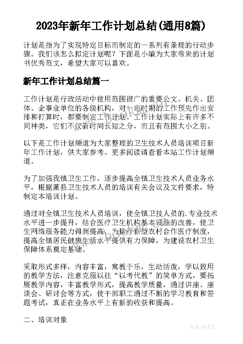 2023年新年工作计划总结(通用8篇)