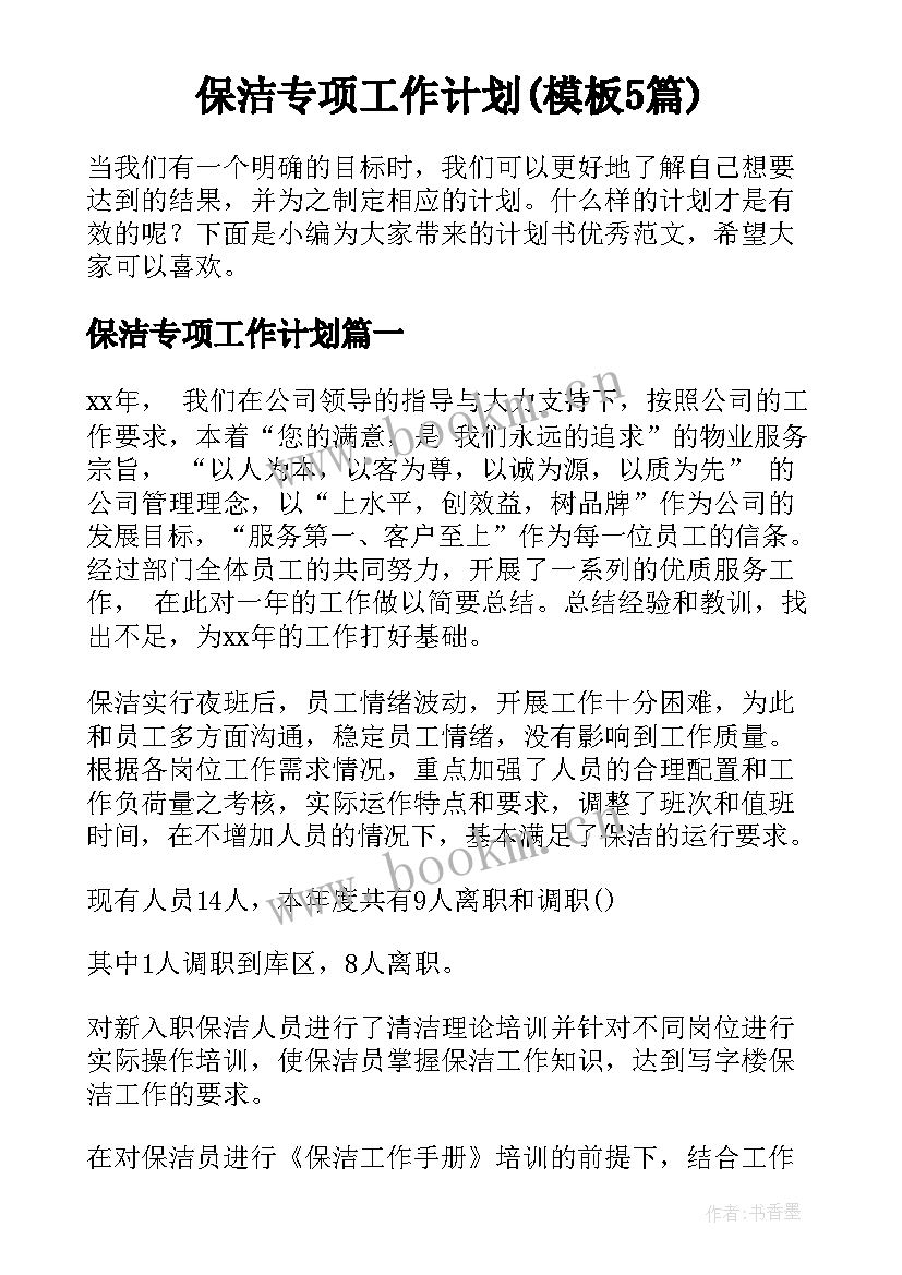 保洁专项工作计划(模板5篇)