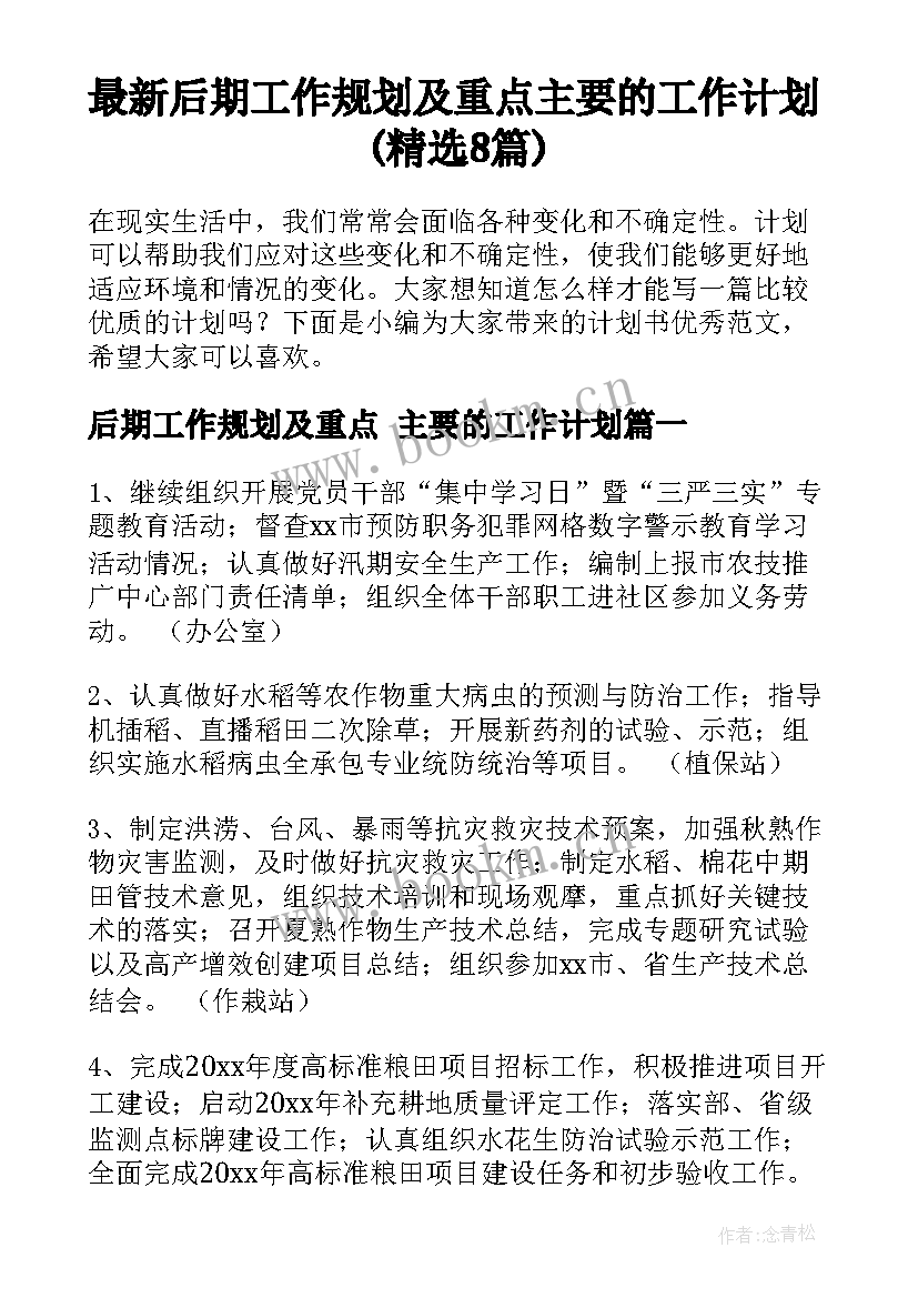 最新后期工作规划及重点 主要的工作计划(精选8篇)