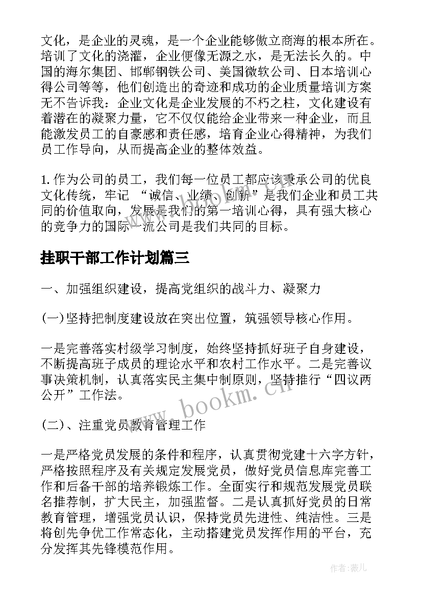 2023年挂职干部工作计划(通用8篇)