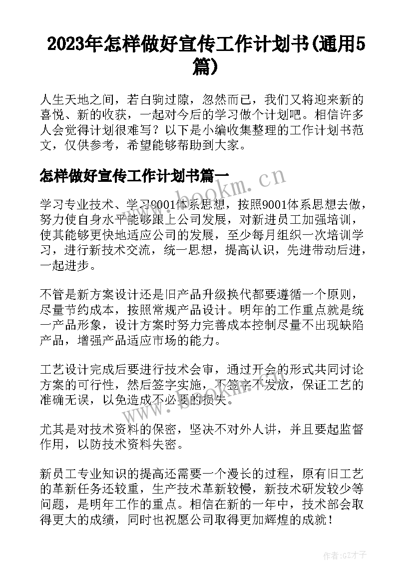 2023年怎样做好宣传工作计划书(通用5篇)