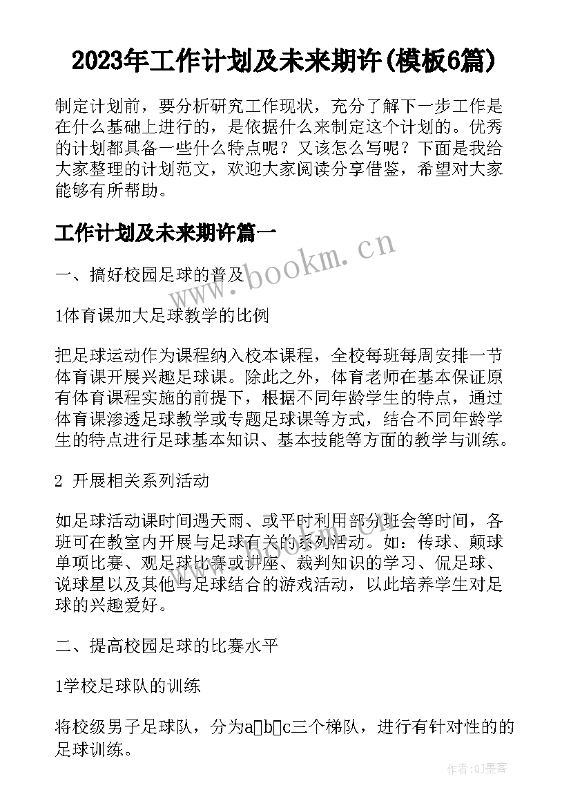 2023年工作计划及未来期许(模板6篇)