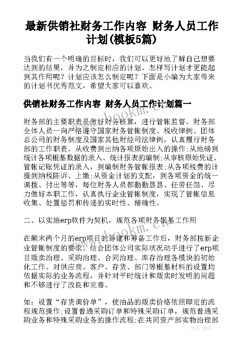 最新供销社财务工作内容 财务人员工作计划(模板5篇)