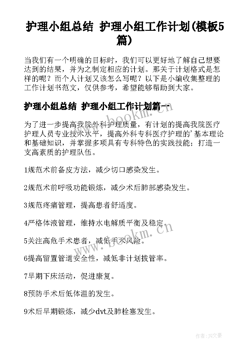 护理小组总结 护理小组工作计划(模板5篇)